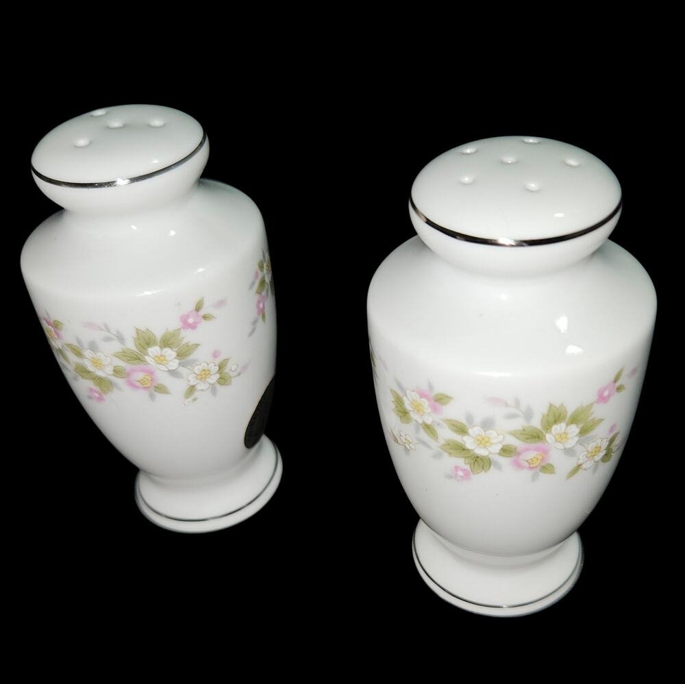 Treasure Chest Lenore Salt & Pepper Shakers Floral Japan Porcelain Silver Trim